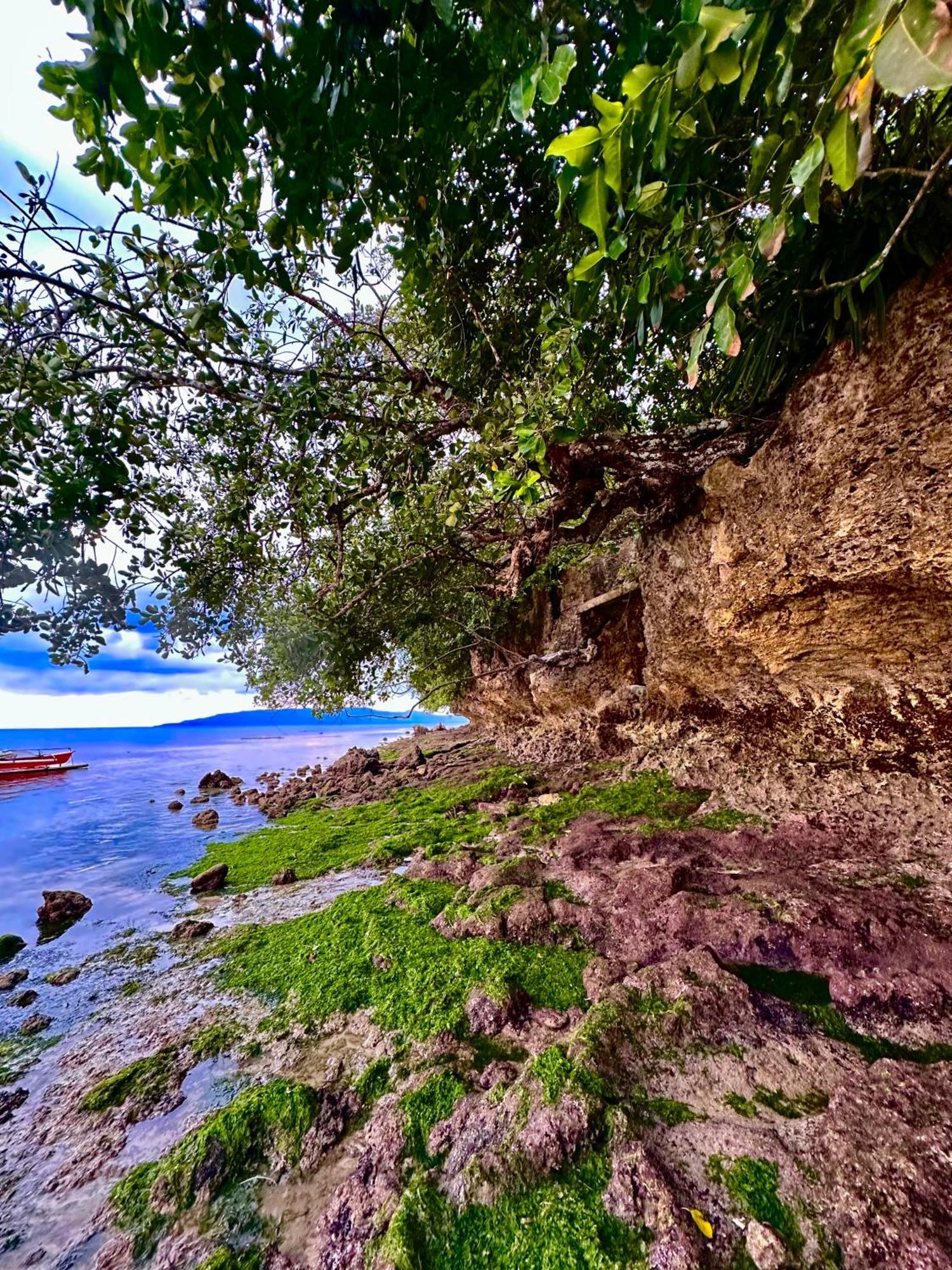 Sapphire Boutique Resort Panglao Exteriör bild